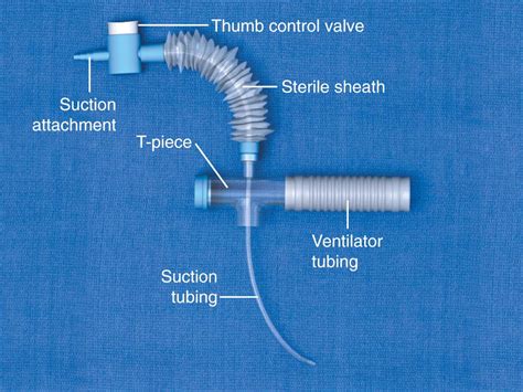 Tracheostomy Care Clinical Tree