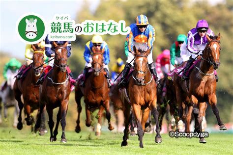 【阪神9rゆきやなぎ賞】サトノワレキューレが長く良い脚を使って快勝！ 競馬ニュースなら競馬のおはなし