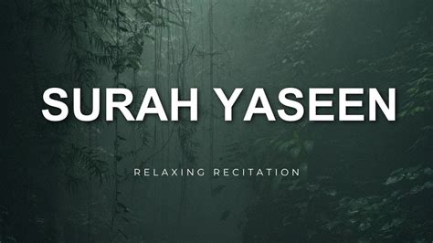 Surah Yaseen Most Beautiful Recitation The Most Powerful Chapter In