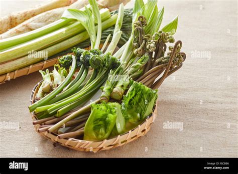 Edible Wild Plants Stock Photo Alamy