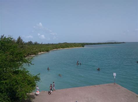 Exploring the Ceiba Swings in Puerto Rico