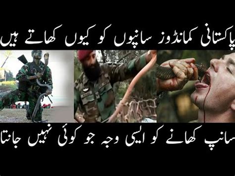 2023 World S Most Brave Commandos Ssg Pak Army 2020 Why Pak Army