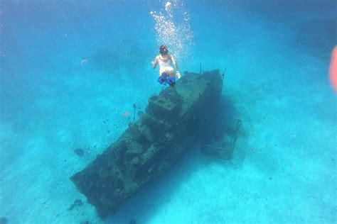 Cozumel Snorkeling Guide for January 2024 | Island Life Mexico