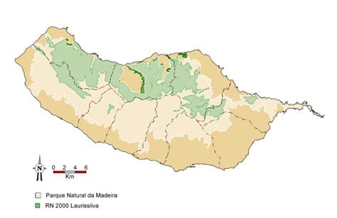 Floresta Da Laurissilva Da Madeira