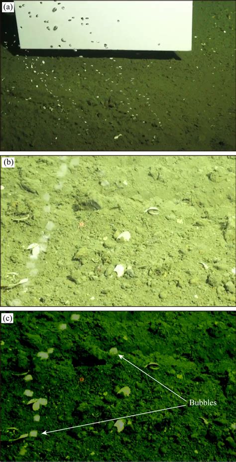 A Quantitative Study On The Active Cold Seeps Flow Field Along The