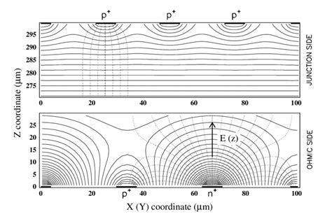 behaviour  equipotential lines solid  electric field lines