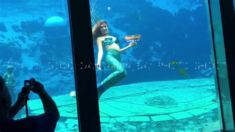 FOX 13, Good Day Tampa Bay Photo Shoot with Mermaid Danielle (2015) - YouTube