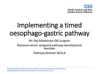 Implementing Edoscopy Timed Og Pathway Pptx