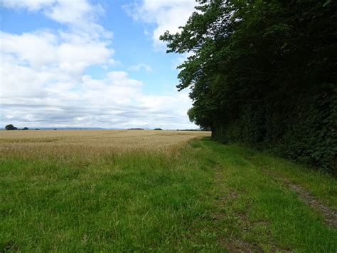 Farm Track Beside David S Wood JThomas Cc By Sa 2 0 Geograph