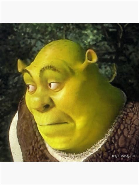 Shrek Face Meme Premium Matte Vertical Poster Sold By Dan Kelly Sku