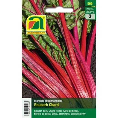 AUSTROSAAT Mangold Rhubarb Chard 1 Packung Bloomling Deutschland