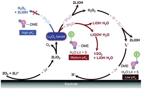 Understanding The Role Of Lithium Iodide In LithiumOxygen Batteries