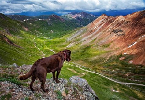 Exploring The Alpine Loop - ATV Colorado - Wild ATV