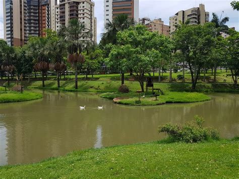 THE 15 BEST Things to Do in Goiania - 2023 (with Photos) - Tripadvisor