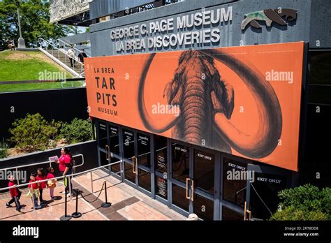 At La Brea Tar Pits Museum In Los Angeles California Stock Photo Alamy
