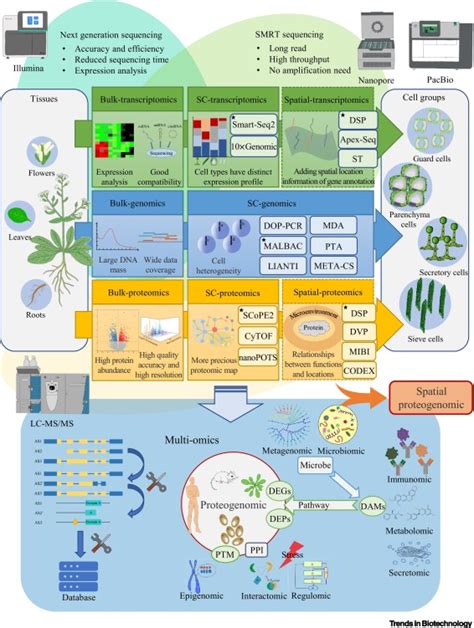 Proteogenomics Based Functional Genome Research Approaches