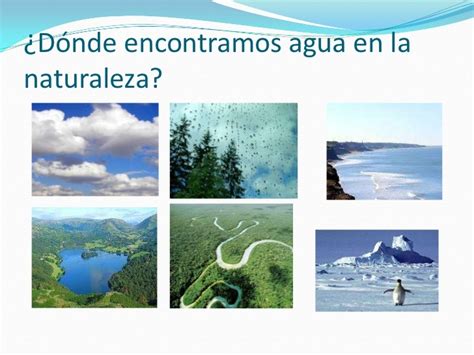 El Agua En Nuestra Comunidad Geography Quizizz