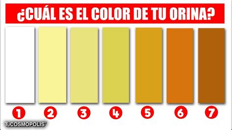 De Que Color Es Tu Orina Mira Lo Que Significa Youtube