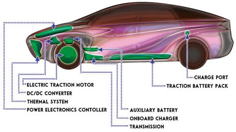 Electric cars are the future of driving | Features | coastreportonline.com