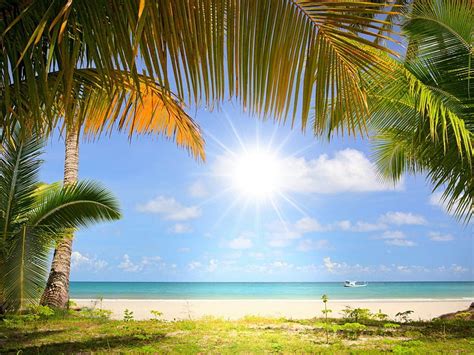 Sun Between Palms Between Sand Sun Palms HD Wallpaper Peakpx