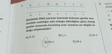 En 1 K K L M M N D M N N T T Y B L T Y N Şekilde Biyoloji