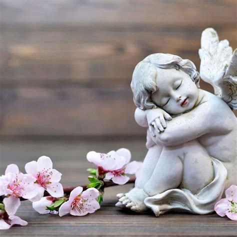 Cherub Angel Wall Art | Photography