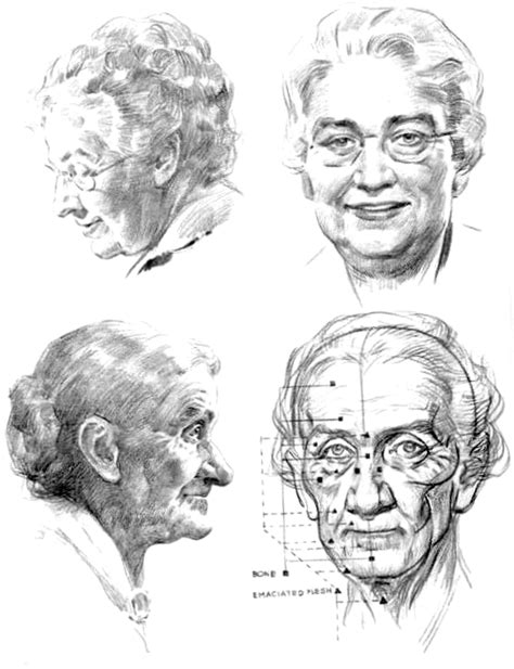 How To Draw Aging Faces And Hands And Where To Draw Wrinkles On The Head And Face How To Draw