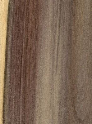 Blue Mahoe | The Wood Database (Hardwood)