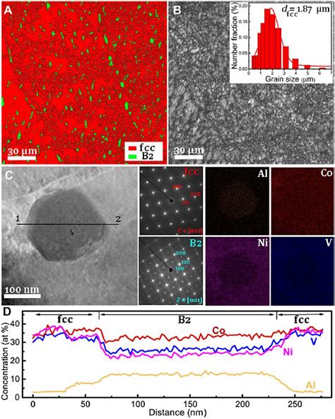 Microstructural Characterization Of AlCoNiV MEA A EBSD Phase Map