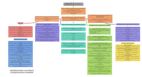 PromociÓn De La Salud Y Determinantes De La Salud Universitario