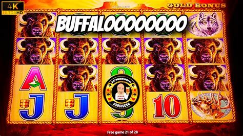 Buffalo Gold Slot Machine Pays Big In Las Vegas Youtube