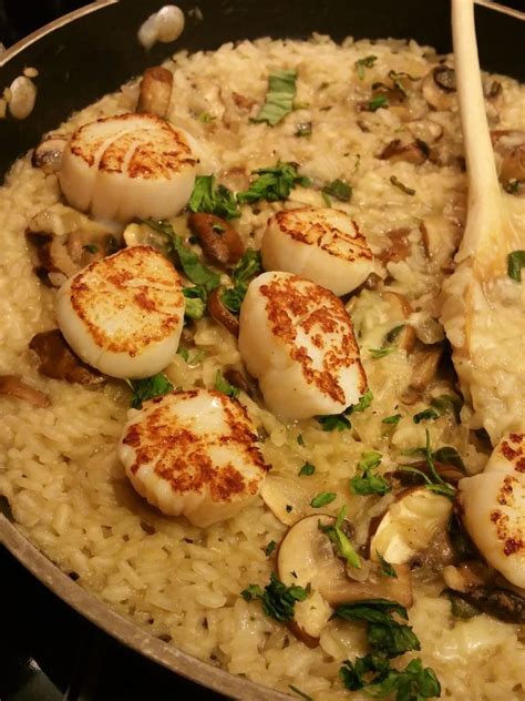 Hells Kitchen Mushroom And Truffle Oil Risotto With Pan Seared Scallops The Front Porch