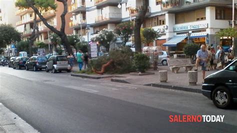 Degrado E Incuria In Via Robertelli Cade Un Albero