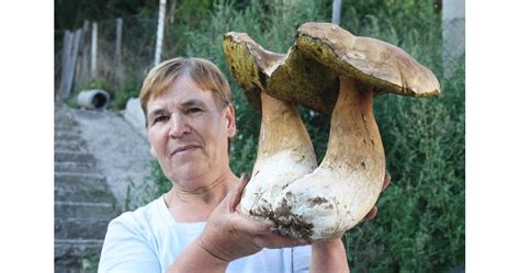 Манатарки гиганти в Родопите