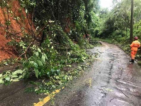 Chuva danifica casas e derruba árvores bloqueando vias em Poços de