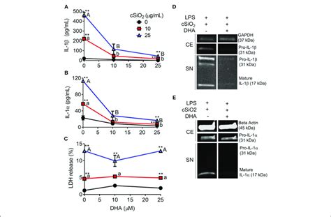 Dha Inhibits Csio 2 Induced Il 1β And Il 1α Release But Not Cell