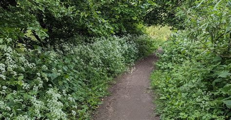 trail  park  stock photo