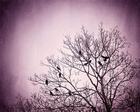 Purple Wall Art Birds Tree Black Dark Wall Art Pink Nature - Etsy