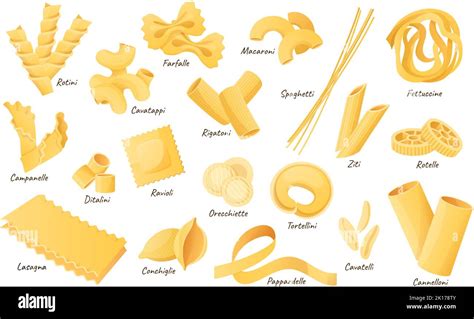 Italian pasta shapes. Fettuccine, spaghetti and lasagna. Dry cannelloni, ravioli and macaroni ...