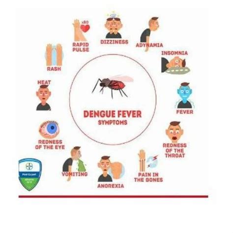 Dengue Fever Symptoms Causes Diagnosis And Treatment 51 Off