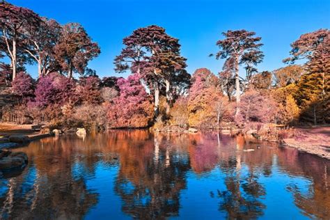 Wallpaper Trees Landscape Colorful Fall Water Nature Reflection