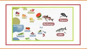A Ustos Ay Nda Hangi Sebze Meyve Yenir Haberleri