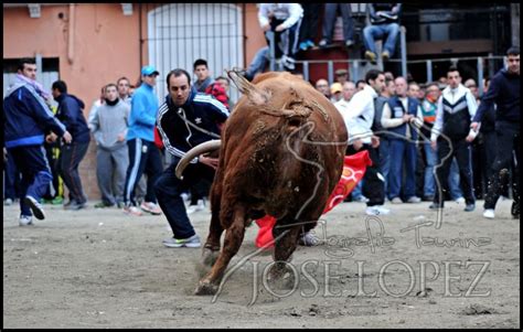 ToroOcio DESENCAJONADAS Y EMBOLADAS DE DOS TOROS CERRILES EN