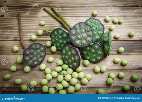 Lotus Seeds Stock Image Image Of Health Close Nature 59653245