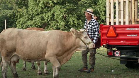 Ešte bude veselo Obavy sa naplnili farmári majú problém hneď prvý deň