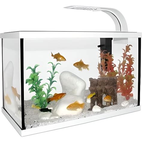 Aquarium Pour Poissons Okgo Net