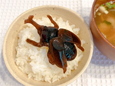 Beetles Larvae Scorpions And More Are On The Menu With This Gummi