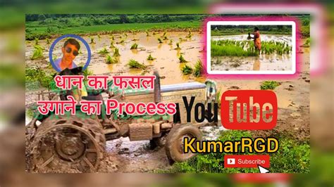 🔴किसान कि मेहनत धान की बुवाई Farmer Struggle In The Farm Agriculture Process Of Paddy