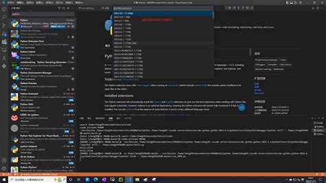 Vscode可以远程运行服务器上的python代码，却无法进行debug调试vscode Wsl 无法调试 Csdn博客