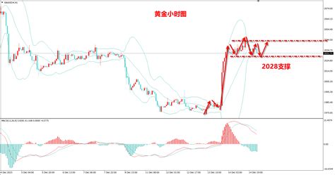 杜康：黄金2032多开始上涨，欧盘继续看多！名家点金黄金网中金在线